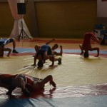Παρουσίαση πάλης - Φεστιβάλ ΚΝΕ - Βούλα Ζυγούρη 10