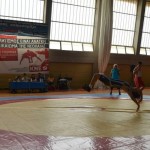 Παρουσίαση πάλης - Φεστιβάλ ΚΝΕ - Βούλα Ζυγούρη 7