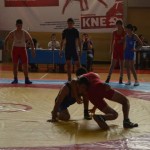 Παρουσίαση πάλης - Φεστιβάλ ΚΝΕ - Βούλα Ζυγούρη 25